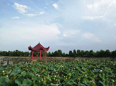 归元陵园墓地价格风水环境介绍-购墓优惠政策查询