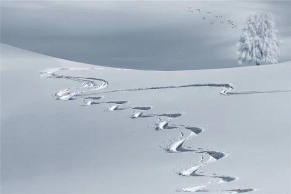 梦见冰天雪地里行走