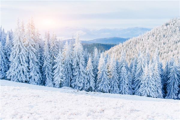 梦见雨夹雪是什么征兆