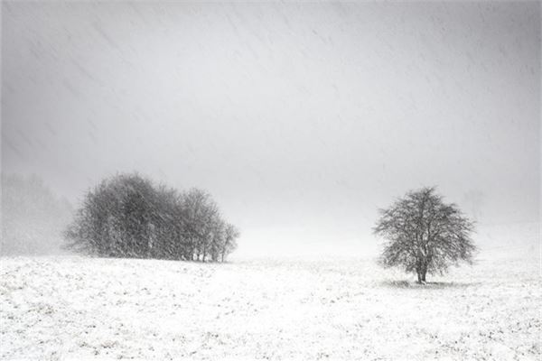 梦见下雪了地上一片白